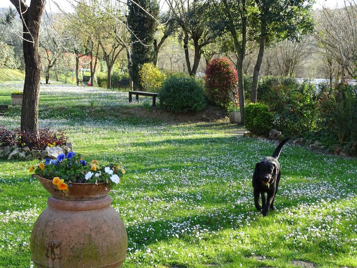 Agriturismo Conca Verde Scandicci Extérieur photo